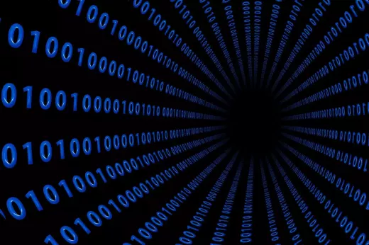 ניווט במסד הנתונים של WHOIS: חששות ופתרונות פרטיות